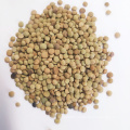 Chinese Lentils  Low Price Green Lentils and Pulses